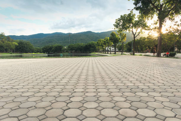 Professional Driveway Pavers in Lodi, CA